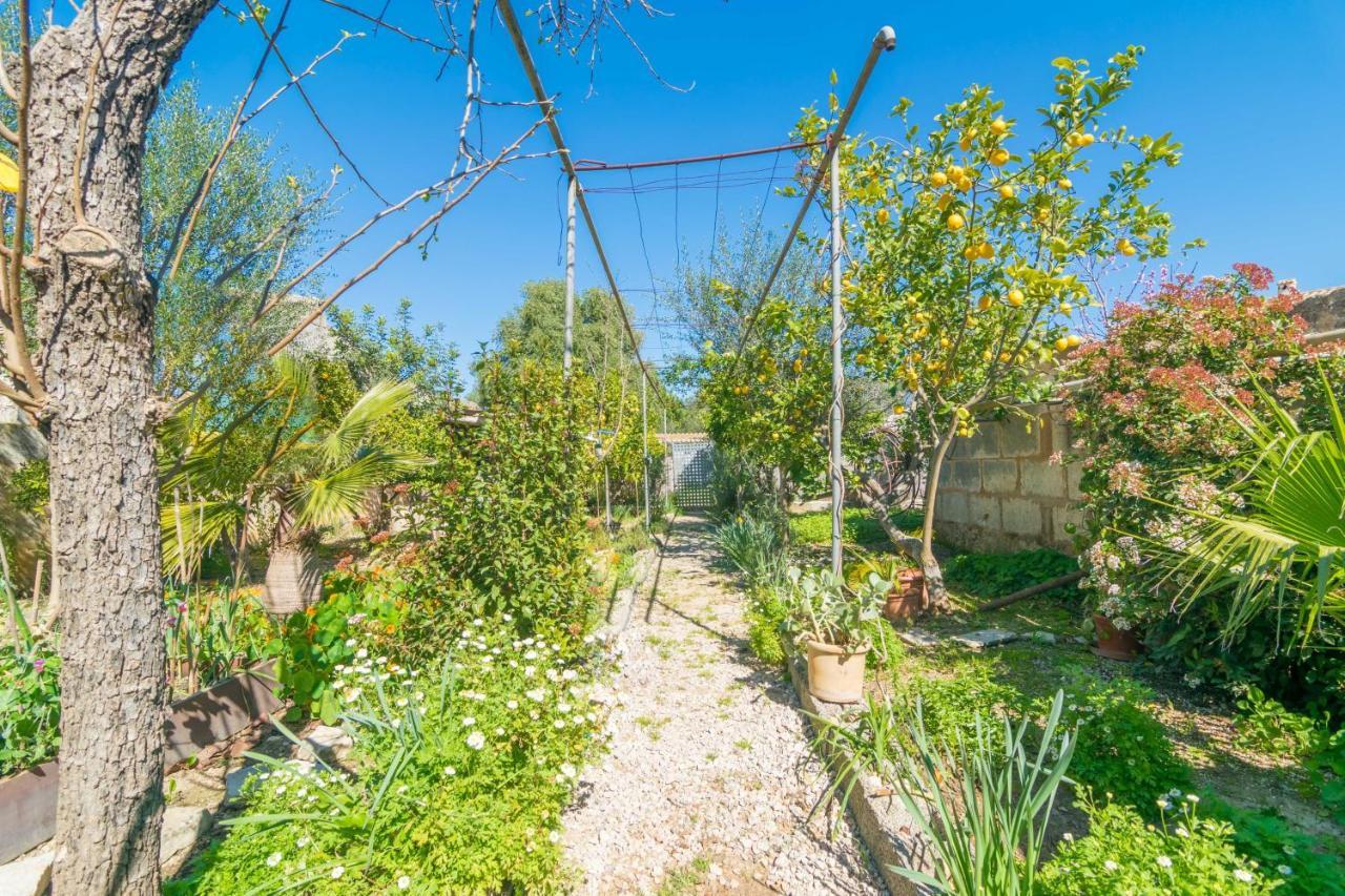 Construcciones Balaguer Villa Mancor del Valle Dış mekan fotoğraf