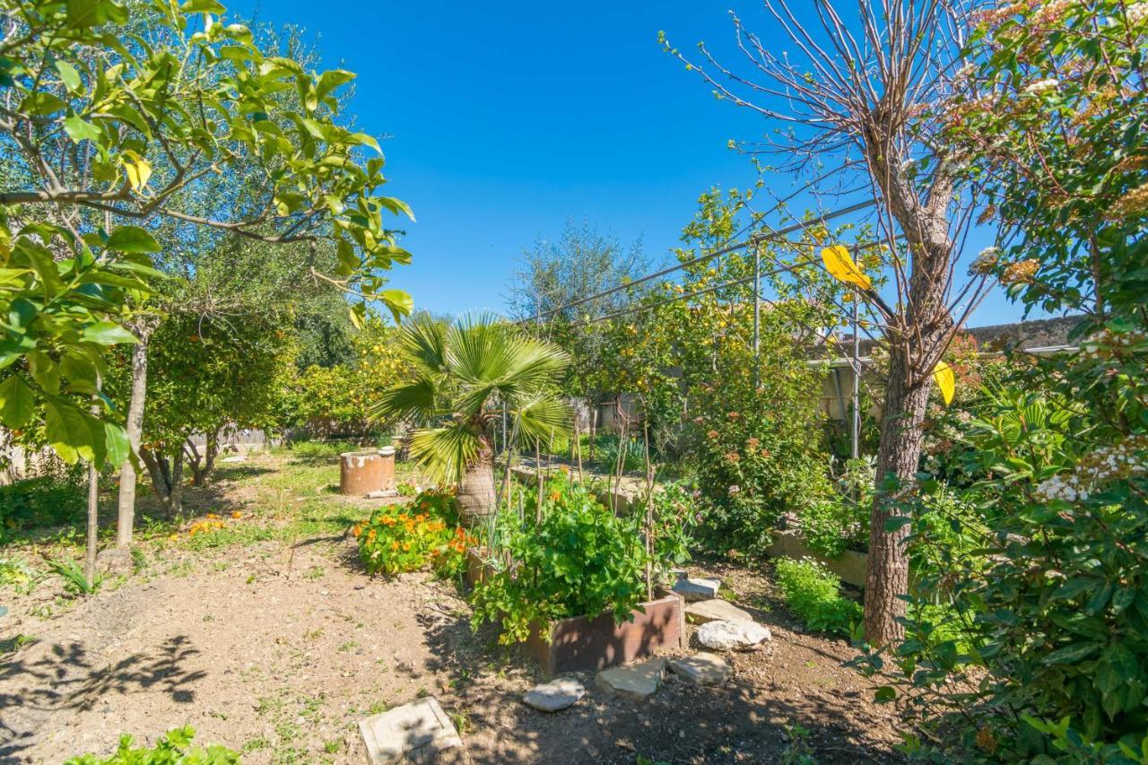 Construcciones Balaguer Villa Mancor del Valle Dış mekan fotoğraf