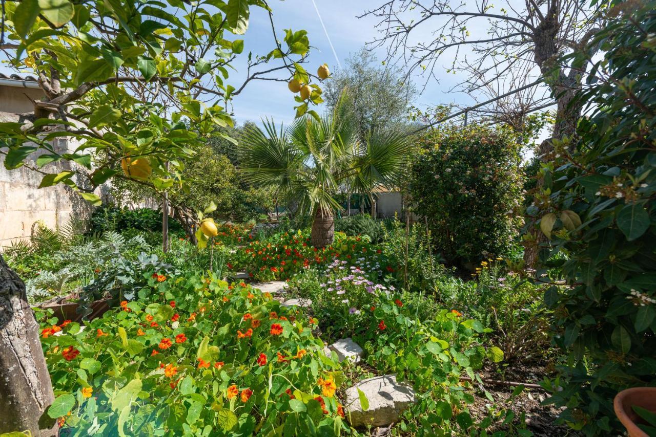 Construcciones Balaguer Villa Mancor del Valle Dış mekan fotoğraf